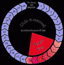 CICLO METODO.jpg